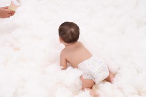 lulubebe minh bạch nguồn gốc xuất xứ
