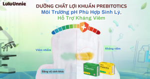 Băng vệ sinh chứa dưỡng chất lợi khuẩn prebiotics