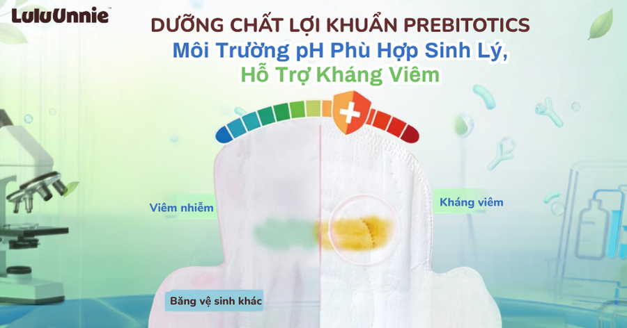 giải đáp chi tiết về băng vệ sinh lợi khuẩn LuluUnnie